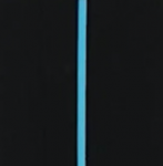 Corsa Black & Miami Blue