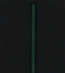 Corsa Black & Forest Green