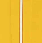 Corsa Yellow & White